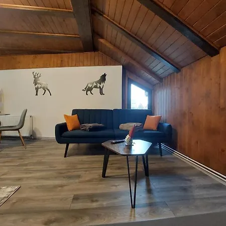 Snug - Private Parking Near Downtown * Braşov