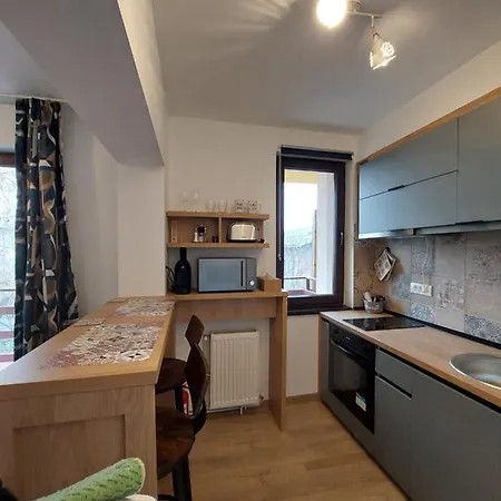Snug - Private Parking Near Downtown Apartment Brasov