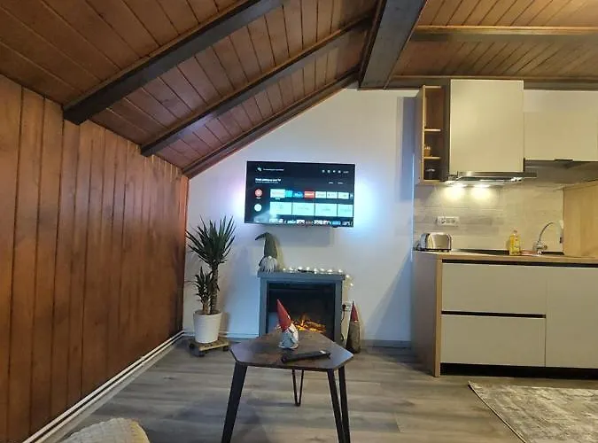 Apartment Snug - Private Parking Near Downtown Brasov