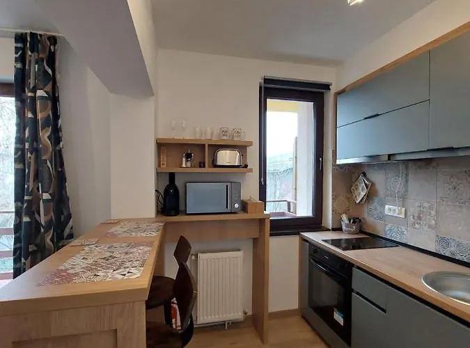 Snug - Private Parking Near Downtown Apartment Brasov